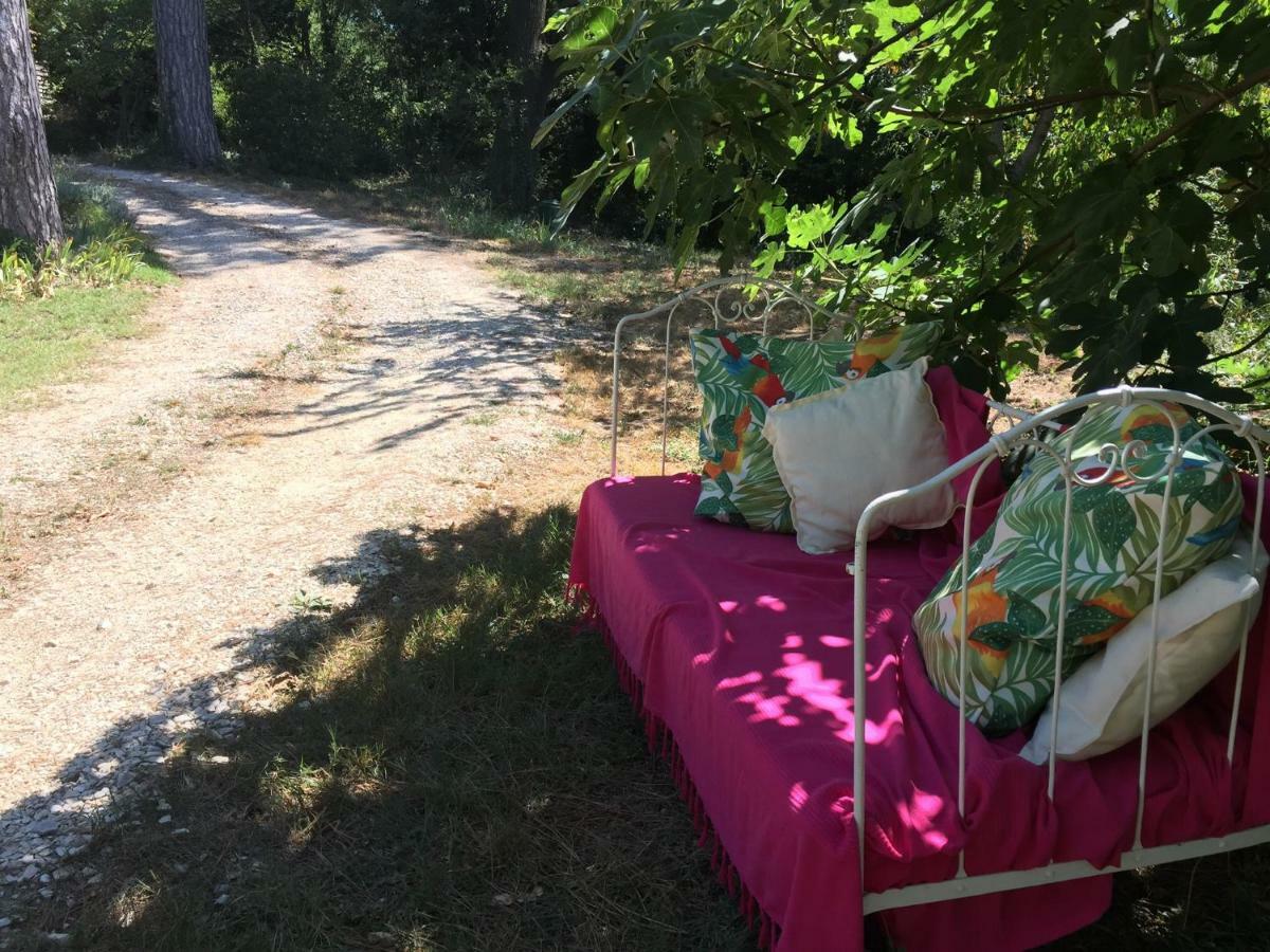 Les Volets Lavande Aubignan Kültér fotó